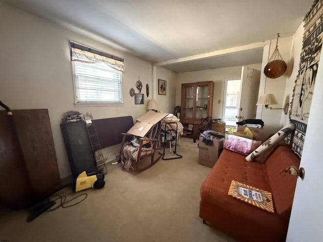 interior space featuring carpet flooring