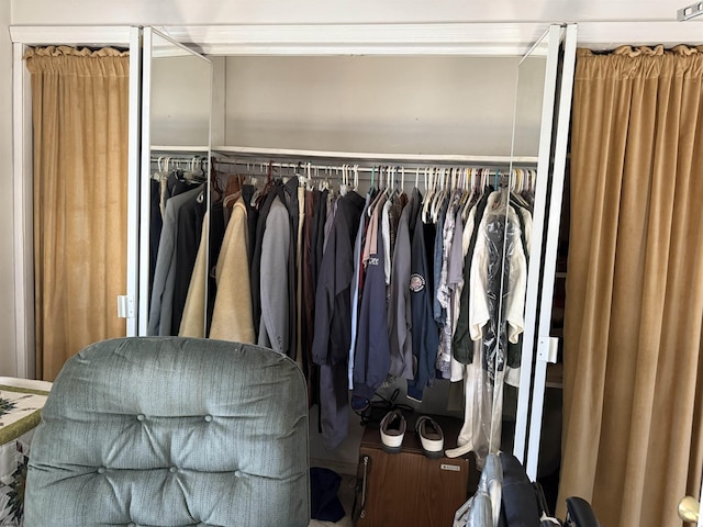 view of closet