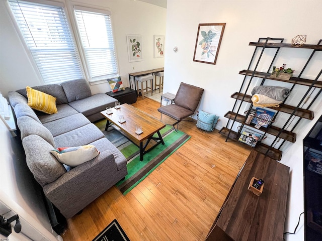 living area with wood finished floors