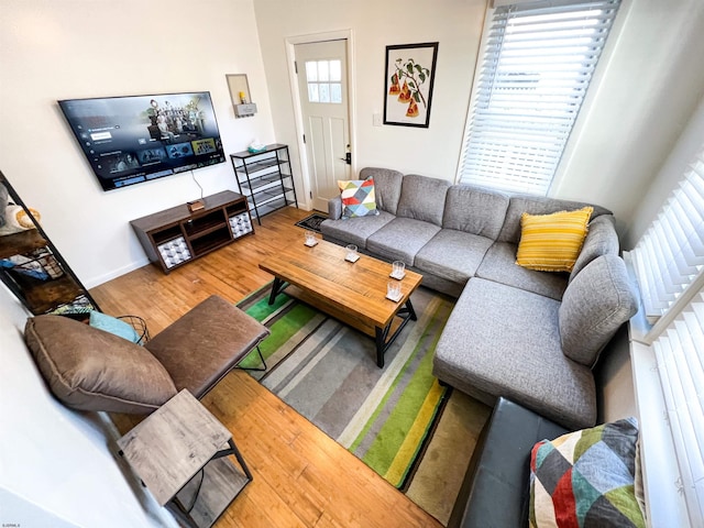 living area featuring wood finished floors