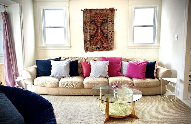 living room with a wealth of natural light