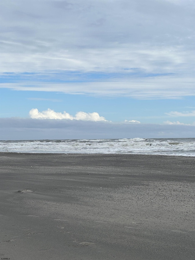 water view featuring a beach view