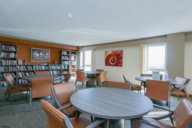 dining room featuring a textured ceiling