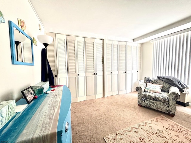 carpeted bedroom featuring two closets