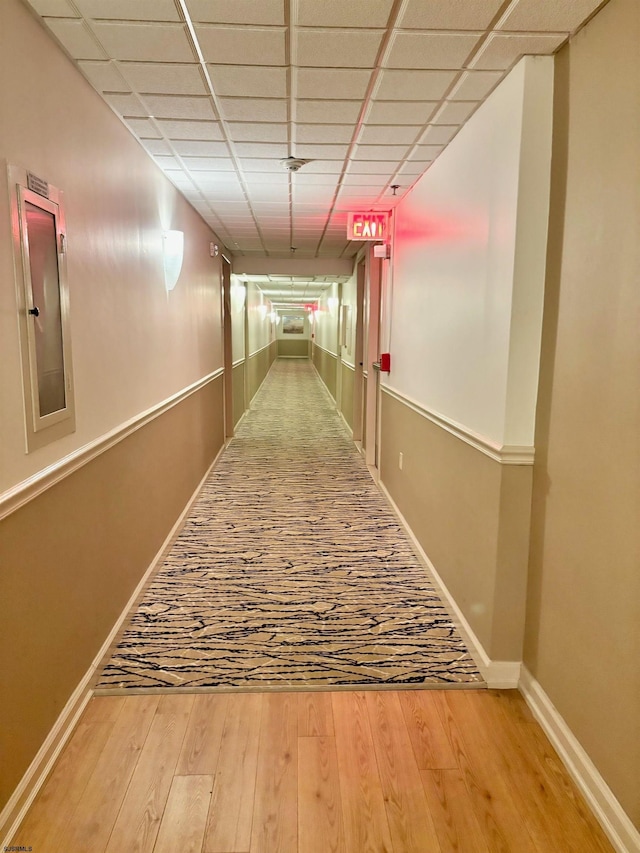 hall featuring a drop ceiling, baseboards, and wood finished floors