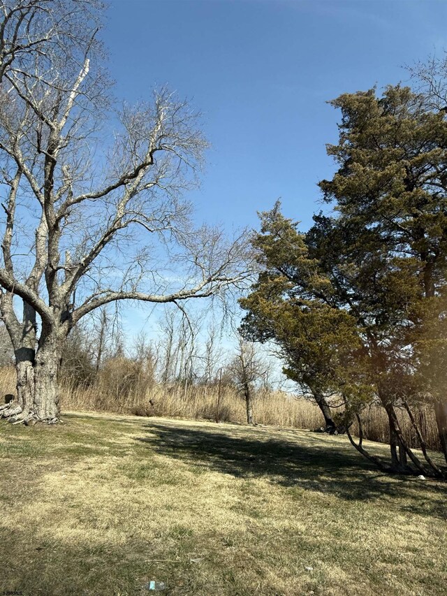 200 E Park Ave, Pleasantville, NJ 08232 - view of yard