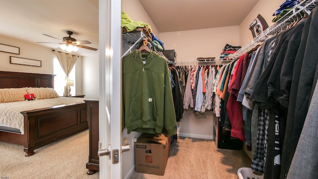 walk in closet with a ceiling fan and light carpet