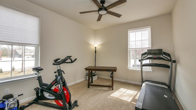 exercise area with carpet floors, plenty of natural light, baseboards, and a ceiling fan