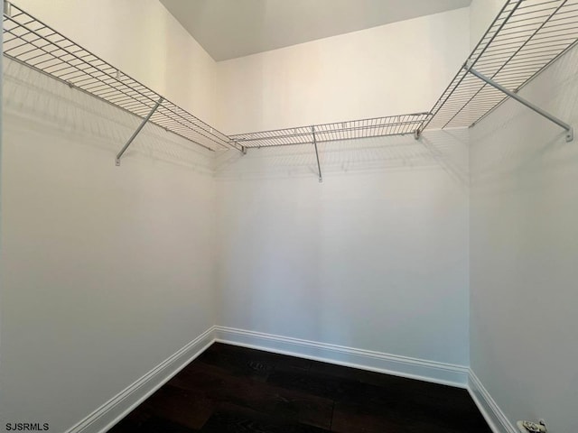 walk in closet featuring dark wood-type flooring