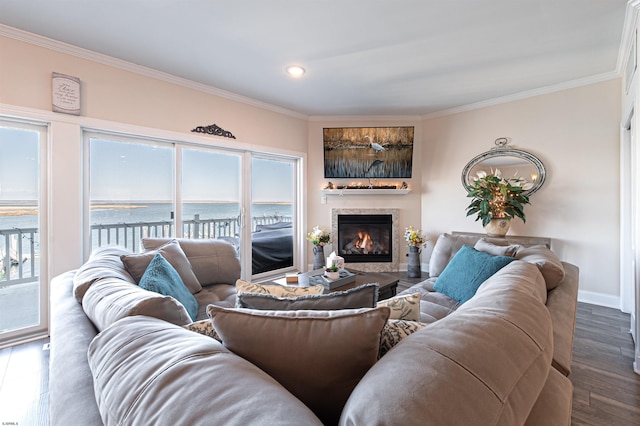 living room featuring a water view, ornamental molding, a high end fireplace, wood finished floors, and baseboards