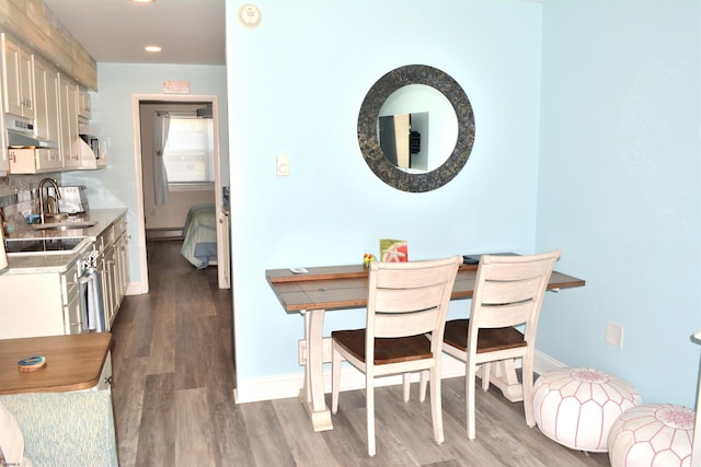 dining space with recessed lighting, a baseboard radiator, wood finished floors, and baseboards