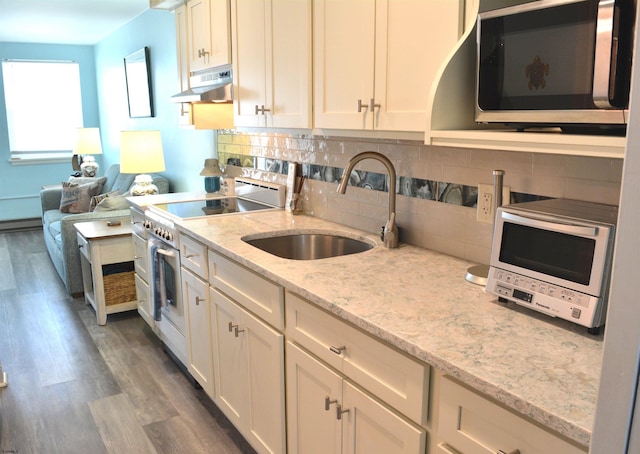 kitchen with decorative backsplash, appliances with stainless steel finishes, a sink, wood finished floors, and under cabinet range hood