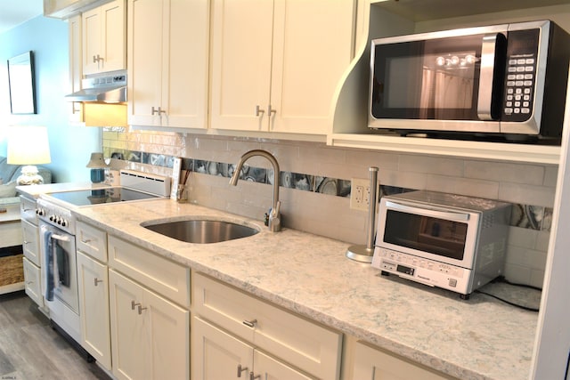 kitchen with decorative backsplash, electric stove, stainless steel microwave, under cabinet range hood, and a sink