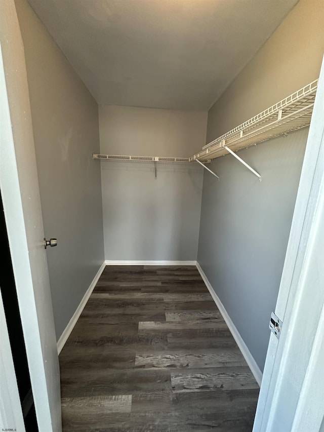 walk in closet with dark wood-style flooring