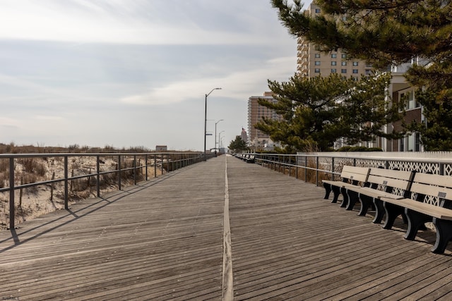 dock area with a pier