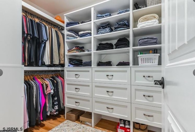 walk in closet featuring wood finished floors