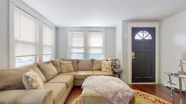 living room with dark wood-style floors and a wealth of natural light