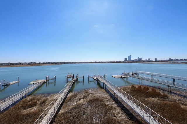 dock area with a water view