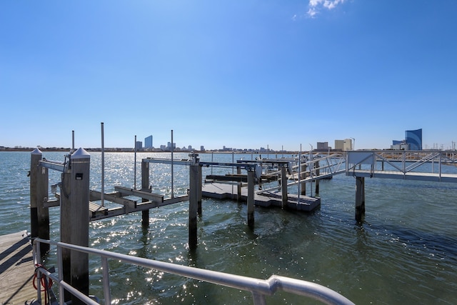 dock area with a water view