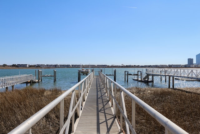 dock area with a water view