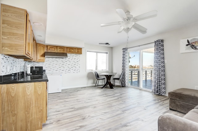 kitchen with under cabinet range hood, decorative backsplash, light wood-type flooring, and dark countertops