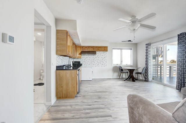 kitchen with baseboards, under cabinet range hood, decorative backsplash, light wood-style floors, and a sink