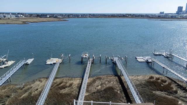 dock area with a water view