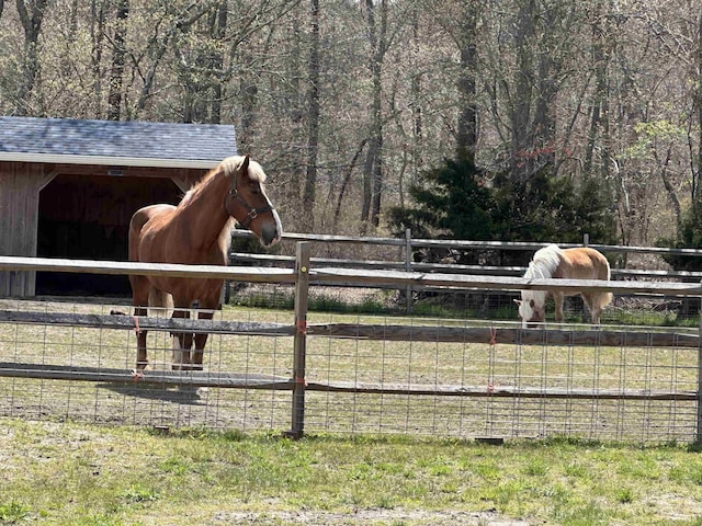 view of stable with a wooded view