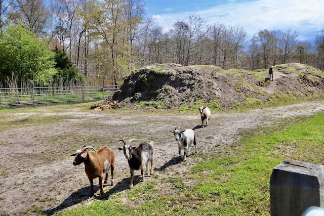 view of yard featuring a rural view and fence