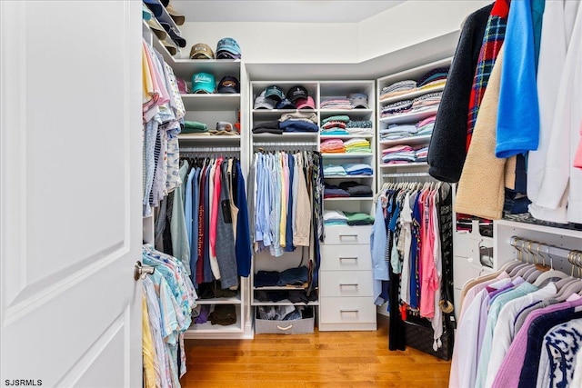 walk in closet featuring wood finished floors