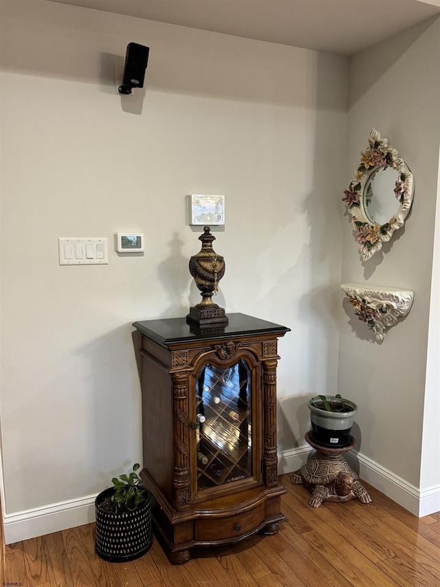 details featuring baseboards and wood finished floors