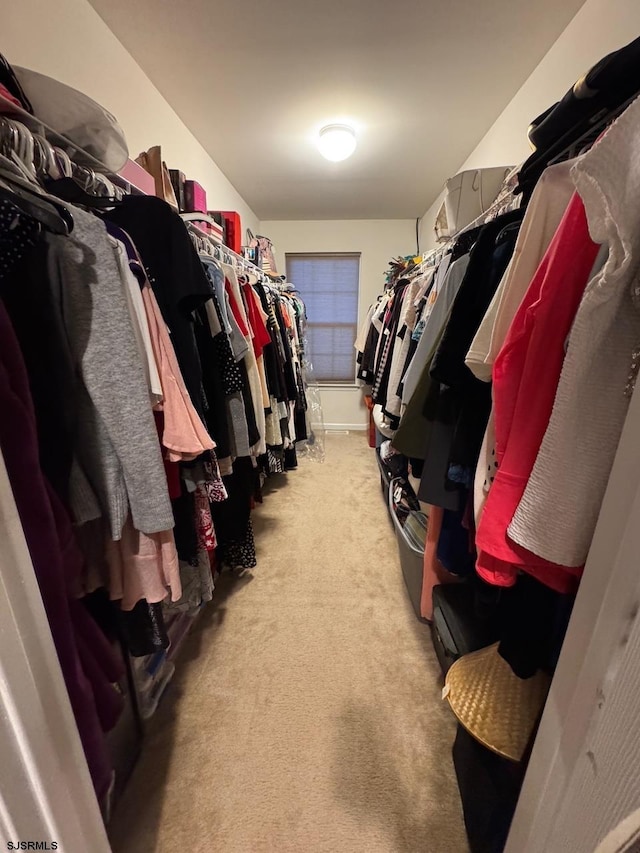 spacious closet featuring carpet flooring