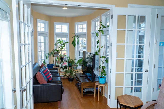 interior space featuring french doors and wood finished floors