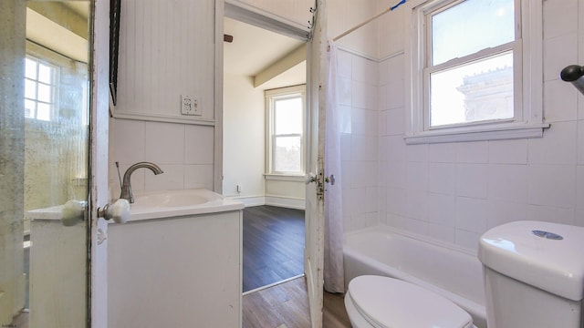 full bathroom with a wealth of natural light, toilet, vanity, and wood finished floors