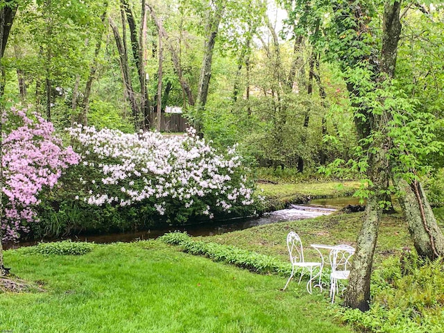 view of yard featuring a view of trees