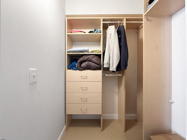 view of closet