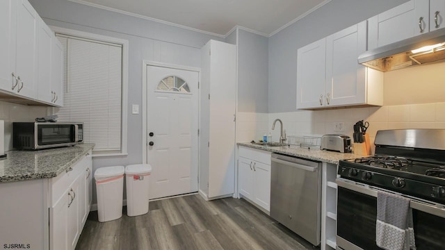 kitchen featuring ventilation hood, wood finished floors, a sink, appliances with stainless steel finishes, and tasteful backsplash