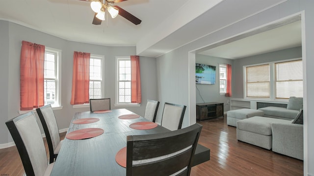 dining room with baseboards, wood-type flooring, and ceiling fan