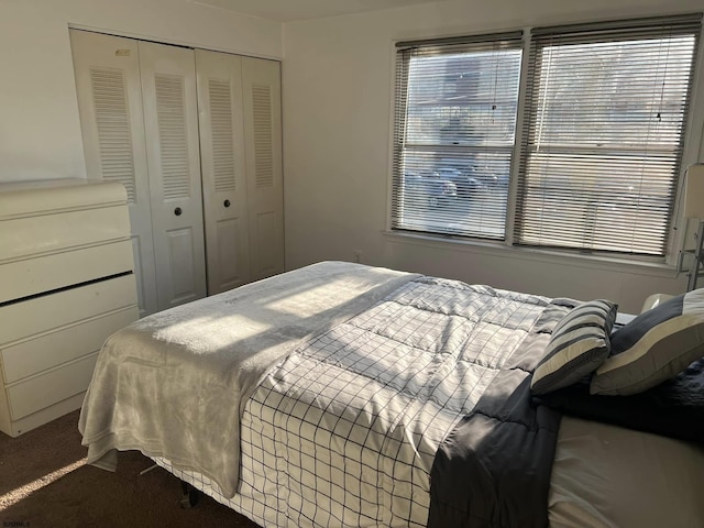 bedroom featuring dark colored carpet and a closet