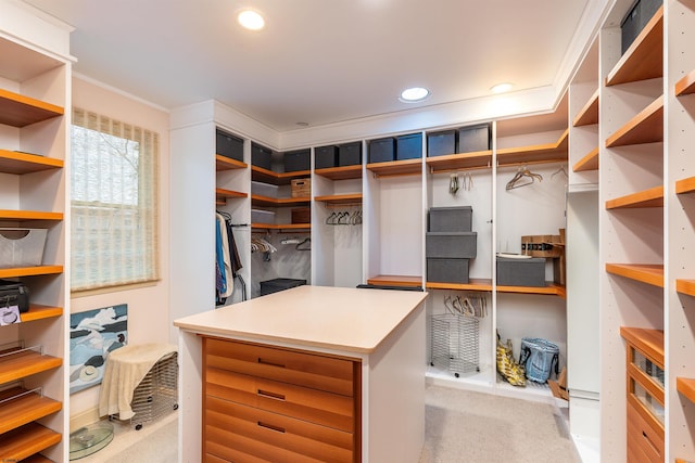 spacious closet with carpet