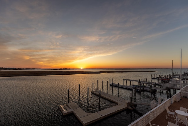 dock area with a water view