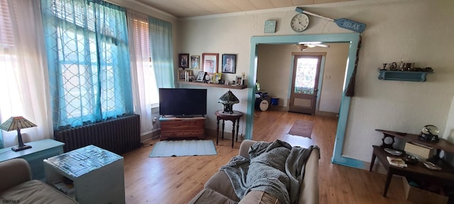 living room with a ceiling fan, wood finished floors, radiator heating unit, and ornamental molding