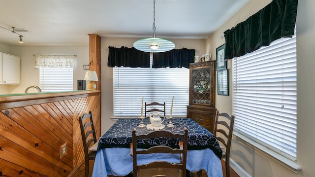 dining room with visible vents, a healthy amount of sunlight, and track lighting