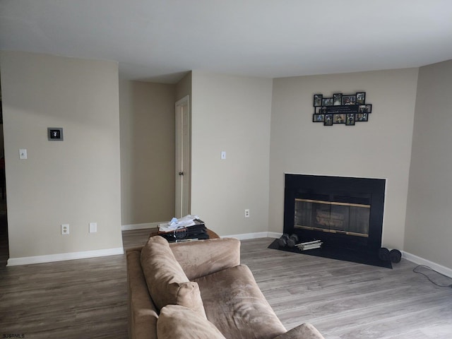 living area featuring baseboards, wood finished floors, and a fireplace with flush hearth