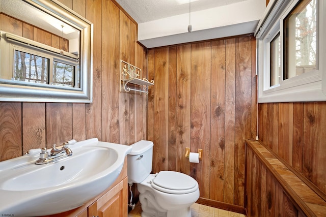 bathroom featuring wood walls, toilet, and vanity