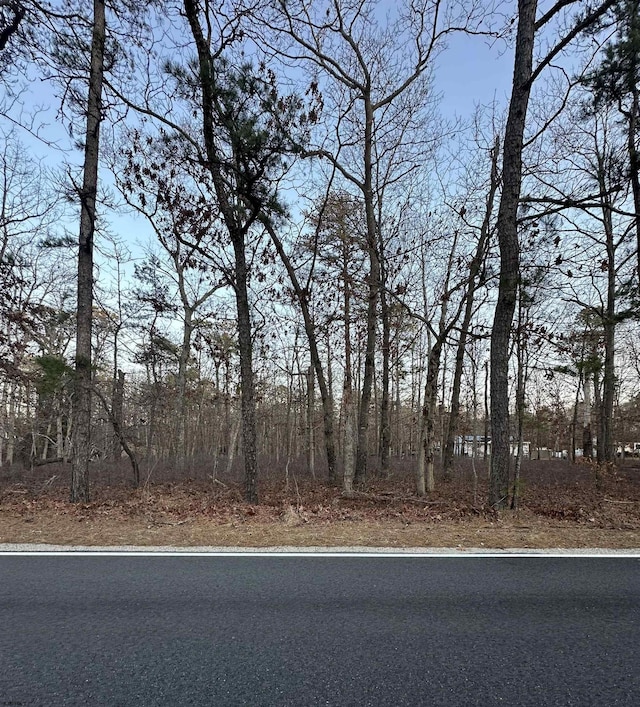 212 Pine Ave, Egg Harbor Township NJ, 08234 land for sale