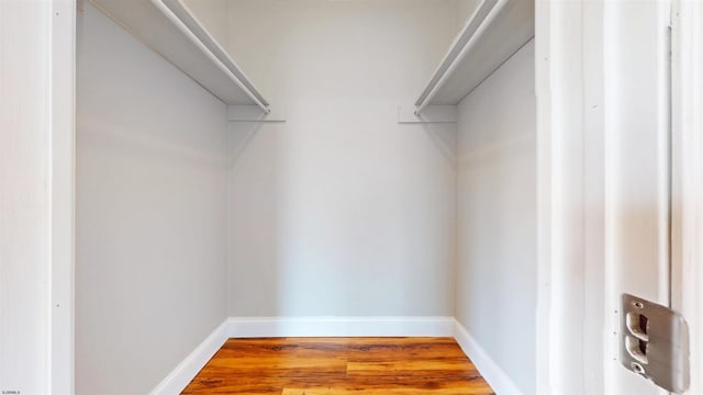 spacious closet featuring wood finished floors