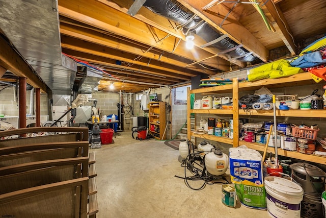 unfinished basement featuring concrete block wall