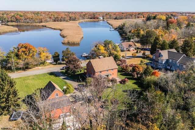 bird's eye view featuring a forest view and a water view