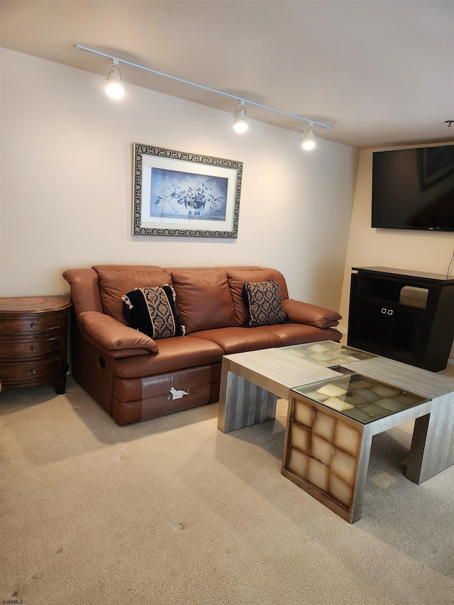 living room featuring track lighting